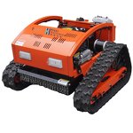 Lawn Mower Manufacturer - OEM/ODM Custom Small Crawler Remote Control Mower Farm Grass Cutter