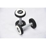 CPU Dumbbell Set Factory - High Quality Round Steel for Body Building Dumbbell Set