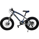 Snow Bike Factory - Chinese Factory New Design 20 Inch 7 Speed Snow Mobile Bike