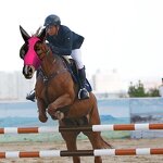 Horse Ear Cover Factory - Multiple Colors Ear Bonnet Netting Hood Oxford Fabric and Mesh