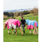 Horse Turnout Factory - Hot Sale Winter Horse Rugs Blanket with Detachable Neck Cover Waterproof