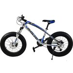 Snow Bike Factory - Chinese Factory New Design 20 Inch 7 Speed Snow Mobile Bike