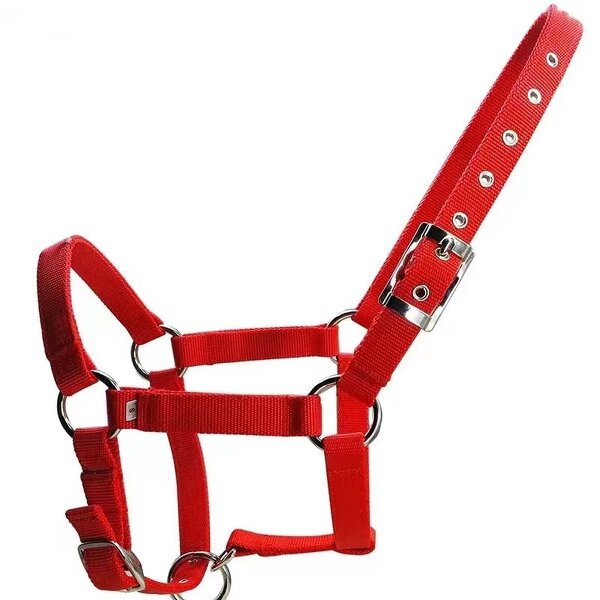 Horse Halters Manufacturer - High Quality Adjustable Durable Woven Polypropylene Multiple Colors