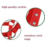 Horse Halters Manufacturer - High Quality Adjustable Durable Woven Polypropylene Multiple Colors