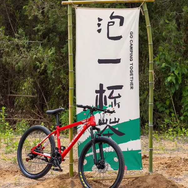 Mountain Bike Factory - Wholesale Adult Cycle Steel 26 Inch Full Suspension Mtb for Women Men