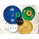 Weight Plates Factory - High Quality All Steel Competition Precise OEM Logo