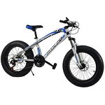Snow Bike Factory - Chinese Factory New Design 20 Inch 7 Speed Snow Mobile Bike
