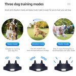 Dog Training Collar Manufacturer - OEM/ODM Custom 1000m Portable Waterproof Rechargeable Training Dog Remote Control Collar