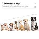 Rechargeable Dog Training Collar Factory - OEM/ODM Custom Rechargeable Dog Training Collar Pet Training Device Waterproof