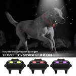 Electronic Dog Training Collar Manufacturer - OEM/ODM Custom T502 Dog Training Collar 800m Nylon Electronic Dog Collar