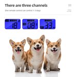 Rechargeable Dog Training Collar Factory - OEM/ODM Custom Rechargeable Dog Training Collar Pet Training Device Waterproof