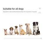 Remote Control Dog Training Collar Factory - OEM/ODM Custom T-600 800m Electric Training Dog Waterproof Pet Remote Control