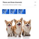 Dog Training Collar Manufacturer - OEM/ODM Custom 1000m Portable Waterproof Rechargeable Training Dog Remote Control Collar