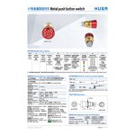 Mushroom Head Emergency Stop Switch Manufacturer - OEM/ODM Custom Mushroom Head Red Emergency Stop Push Button Switch 19mm Metal