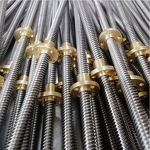 Ball Screw Manufacturer - OEM/ODM Custom 304 Stainless Steel Trapezoidal Ball Screw T12-32T with Round Flange Copper Nut