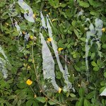 Transparent Truck Cover Fabric Manufacturer - OEM/ODM Custom Transparent Truck Cover Waterproof Polyester Canvas PVC Coated Fabric