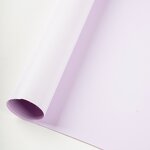 PVC Canvas Tarpaulin Matte Cloth Factory - OEM/ODM Custom PVC Canvas Tarpaulin Matte Cloth Roll for Truck Cover PVC Coated