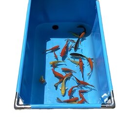 Pond Tarpaulin Factory - OEM/ODM Custom Factory Direct Sale Ponds Outdoor Fishing Tank Waterproof PVC Tarpaulin