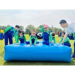 Thickened Tarpaulin Manufacturer - OEM/ODM Custom Thickened Multicolor Rainproof Cloth PVC Polyester Truck Cover Wholesale