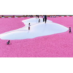 Children Bounce House Tarpaulin Manufacturer - OEM/ODM Custom Children's Bounce House Tarpaulin Inflatable Bubble Pool Wear Resistant