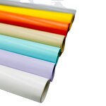 Inflatable Material PVC Tarpaulin Factory - OEM/ODM Custom PVC Tarpaulin for Inflatable Material 500GSM Frame Retardant Knitted