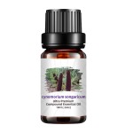 洛阳天然草药精油男性按摩精油私人成人护理10ml