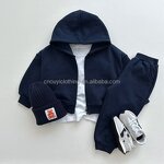 Boys Clothes Sweat Suits Manufacturer - OEM/ODM Custom Boys Clothes Girls Blank Sweat Suits Hoodies Pants Sets Size 3-14