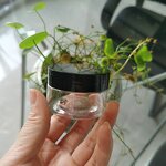 Plastic PET Straight Sided Jars Factory - OEM/ODM Custom 30-120ml Plastic PET Straight Sided Jars with White Cap