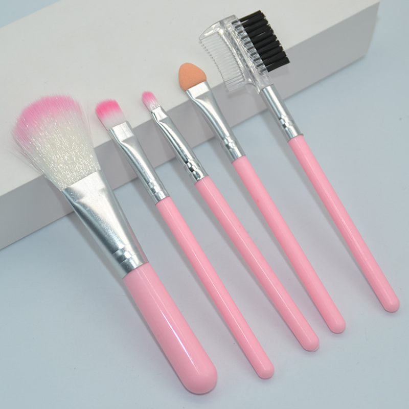 Wholesale 5 Pcs Pink Girl Series Cosmetic Set Portable Non Bacterial Tender Skin-friendly Makeup Brush Set for Girls