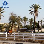 4 Rails PVC Vinyl Horse Farm Fence Manufacturer - OEM/ODM Custom Top Quality 4 Rails PVC Vinyl Horse Farm Fence