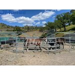 Horse Training Walker Factory - OEM/ODM Custom Steel Heavy Duty Horse Training Walker Equipment