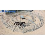 Horse Walker Machine Manufacturer - OEM/ODM Custom Hot Dip Galvanizing Horse Walker for Daily Training