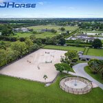 Horse Exerciser Walker Manufacturer - OEM/ODM Custom Horse Walker with Electronic Control Box Custom Size