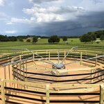 Horse Walker Machine Manufacturer - OEM/ODM Custom Hot Dip Galvanizing Horse Walker for Daily Training