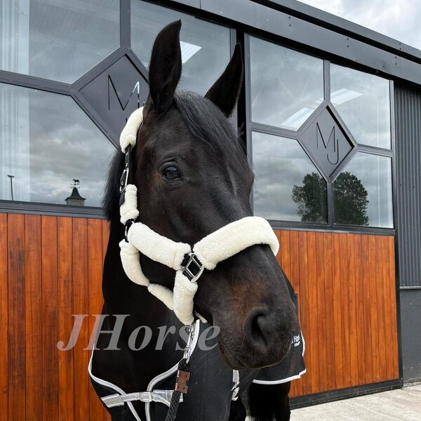 Horse Stall Barn End Door Factory - OEM/ODM Custom Galvanized Metal Heavy Duty Horse Stable End Door