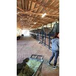 Hot Dip Swing Door Horse Stable Box Manufacturer - OEM/ODM Custom Hot Dip Swing Door Outdoor Horse Stable Box Stall