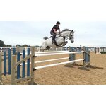 Customized Horse Barrier Manufacturer - OEM/ODM Custom Metal Customized Types Training Horse Barrier Jumping