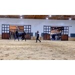 Waterproof Anti Rust Horse Stable Stall Manufacturer - OEM/ODM Custom Waterproof Anti Rust Door Frame Bamboo Equine Stable