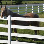 PVC Horse Fence Factory - OEM/ODM Custom China Supplies UV Resistant Racecourse PVC Horse Fence with Gates