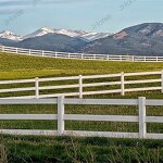 PVC Plastic Horse Paddock Fence Manufacturer - OEM/ODM Custom 3 Rail White Color Cheap PVC Plastic Paddock Fence