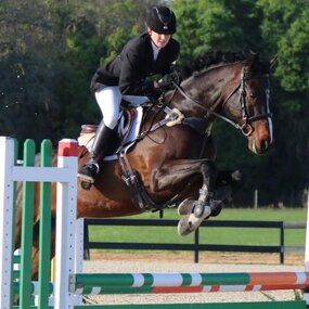 Aluminum Metal Jumps Factory - OEM/ODM Custom High Quality Outdoor Aluminum Metal Jumps for Horse Racing