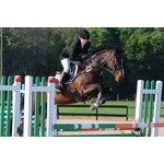 Aluminum Racing Training Fence Factory - OEM/ODM Custom Outdoor Anti Rust Aluminum Racing Training Fence