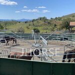 Custom Colors Horse Walker Manufacturer - OEM/ODM Custom Adjustable Speed Hot Dip Galvanized Horse Walker