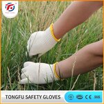 Knitting Hand Gloves Manufacturer - OEM/ODM Custom 100% Cotton Seamless Knitting Hand Gloves