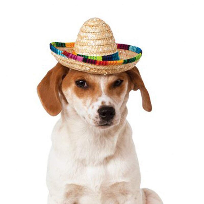 Pet Hat Supplier - Creative Mini Pet Dogs Straw Mexican Sombrero Cute Hat