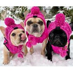 Dog Hats Factory - Winter Warm Knitting French Bulldog Cap Fluffy Ball