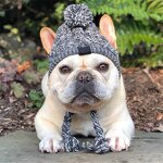Dog Hats Factory - Winter Warm Knitting French Bulldog Cap Fluffy Ball