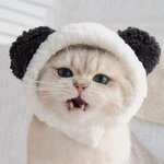 Pet Hat Supplier - Cute Cat Costume Warm Bear Hat Adjustable Soft Headwear