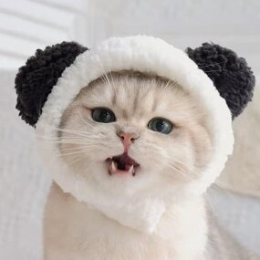 Pet Hat Supplier - Cute Cat Costume Warm Bear Hat Adjustable Soft Headwear