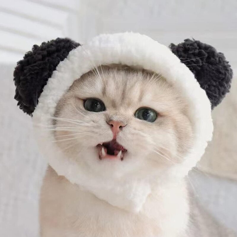 Pet Hat Supplier - Cute Cat Costume Warm Bear Hat Adjustable Soft Headwear